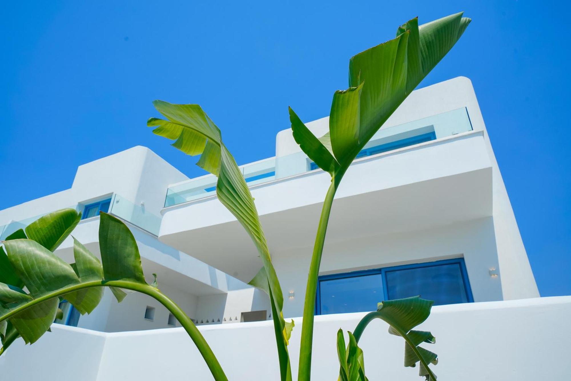 Narciso Thassos Luxury Suites Ormos Prinou (Thasos) Exterior foto